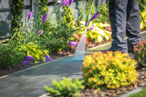 Reliable Sandston, VA Pressure Washing Services Solutions
